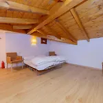 Casa Bohemia *
